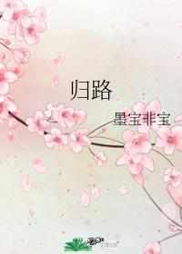 归路原著