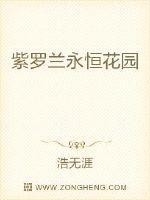 紫罗兰永恒花园女主名字