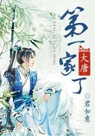 大唐第一家丁好看吗
