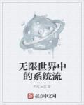 无限流和系统流的