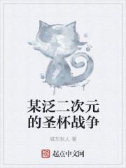 第二次圣杯战争参赛者